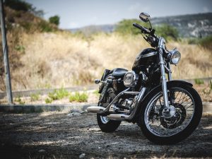 Born to be wild
